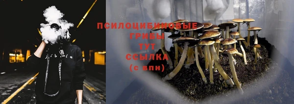 спайс Лагань
