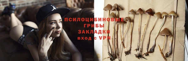 спиды Лабытнанги