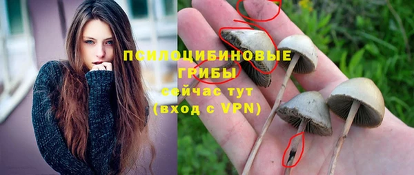 спиды Лабытнанги